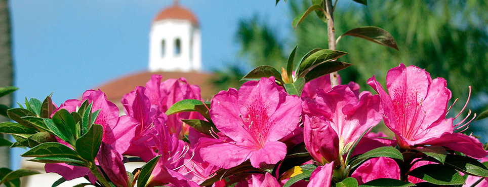 Valdosta State University campus