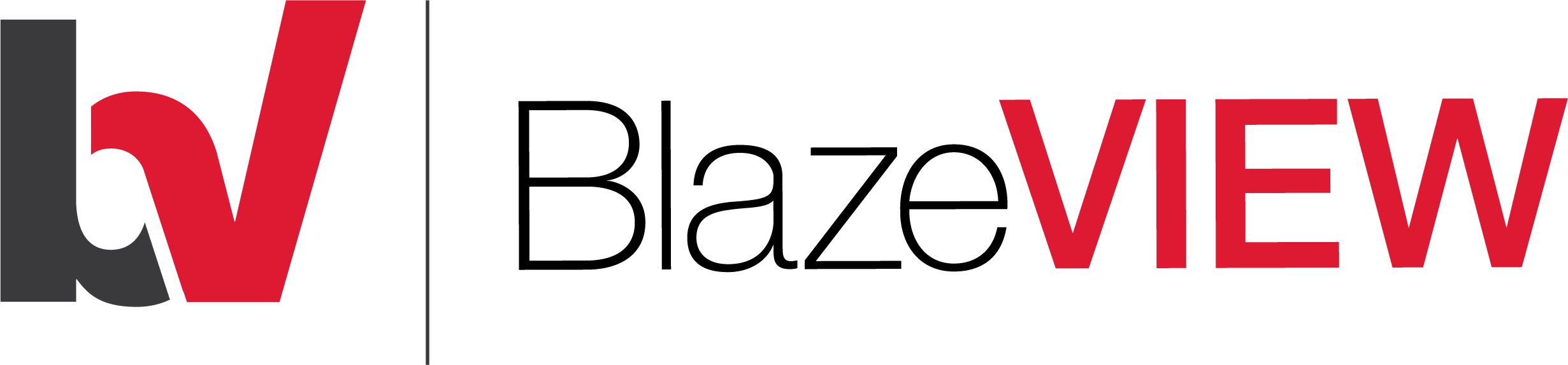 BlazeVIEW Logo